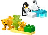Lego Lego® Duplo 10442 Famiglie Di Animali Selvatici: Pinguini E Leoni 10442