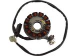 Statore Sgr 12 Poli Con Piastra E Pick-Up