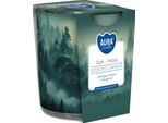 Bispol Aura 22H Oak - Candela In Vetro Profumato Mech
