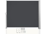 Clanmacy Tenda Da Sole Laterale 160X300Cm Schermo Privacy Estensibile Opaco Protezione Solare Tenda Da Sole Balcone Terrazza Giardino Laterale Tenda A Rullo Frangivento Grigio