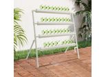 Set Idroponico - Sistema Dwc - 36 Fori Per Piante - 4 Tubi - Pompa Di Ricircolo Inclusa - Coltivazione Fuori Suolo - Bianco