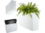 Fioriera - Fioriera Rettangolare Con Inserto - 19X56 Cm - Bianco
