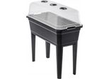 Mini Serra - Serra Da Interno - 75 Cm - 42 L - Per La Coltivazione E La Semina