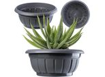 Vaso Da Fiori - Vaso Per Piante In Gabbia Metallica - Ø 20 Cm - Rete Metallica Rotonda - Per Giardino E Balcone