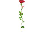 Sostegno Per Piante E Rampicanti - Sostegno Per Rose In Metallo - 150 Cm - Per Aiuole E Piante Rampicanti