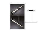 Paulmann Schienensystem-Leuchten "Urail Pendel Lento 1800Lm 41W 2700K Dimmbar 230V", Schwarz, 1, H: 5Cm, 1 Stk., Leuchten, Led Pendelleuchte Esszimmerlampe Pendellampe Pendelleuchte