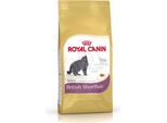 Royal Canin British Shorthair 400G