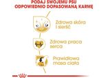 Royal Canin Golden Retriever Adulti 12 Kg