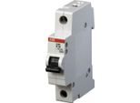 Interruttore Stotz S&J K,6Ka,16A,1P S201-K16