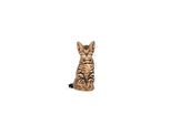 Royal Canin Feline Kitten Sterilised 2 Kg