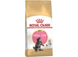 Royal Canin Feline Maine Coon Gattino - 4 Kg