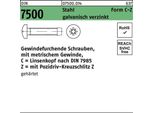 Viti Autofilettanti Din 7500 Temprate C M5X25-Z Vz 075000140050025