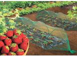 Rete Anti Uccelli "Birdnet"" - 2 X 10 M - Verde"