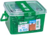 Set 200 Viti Spax Testa Cilindrica Torx In Acciaio Inox, Diam.5 Mm X L.60 Mm