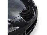 Griglia Radiatore Griglia Sportiva Grill Nero Per Seat Leon 2 Ii 1P Facelift 09-
