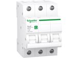 Apc Schneider Schneider Electric Interruttore Automatico 3P, 25A, C R9F24325
