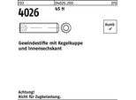 Viti A Testa Cilindrica Reyher Iso 4026 45 H M 6 X 8 040262000060008 (1000 Pezzi)