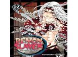 Demon Slayer: Kimetsu No Yaiba, Vol. 22