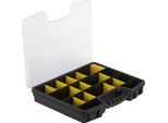 Terry Store-Age Pro Organizer Scatola Per Minuteria Nero, Trasparente