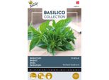 Semi Di Basilico A Foglia Piccola Buzzy - Circa 1,5 Gr | Buzzy_080910