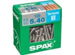 Set Di 125 Viti Spax In Acciaio Inox A Testa Cilindrica, Diam.5 Mm X L.40 Mm
