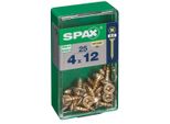 Set Di 25 Viti In Acciaio Pozidriv Spax Testa Cilindrica Bombata, Diam.4 Mm X L.12 Mm
