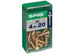 Set Di 20 Viti In Acciaio A Testa Svasata Pozidriv Spax, Diam.4,5 Mm X L.20 Mm