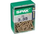 Set Di 75 Viti In Acciaio A Testa Svasata Pozidriv Spax, Diam.3 Mm X L.35 Mm