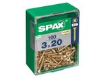 Set Di 100 Viti In Acciaio A Testa Svasata Pozidriv Spax, Diam.3 Mm X L.20 Mm