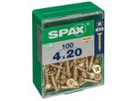 Set Di 100 Viti In Acciaio A Testa Svasata Pozidriv Spax, Diam.4 Mm X L.20 Mm