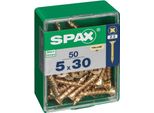 Set Di 50 Viti In Acciaio A Testa Svasata Pozidriv Spax, Diam.5 Mm X L.30 Mm