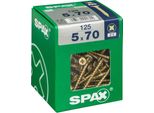 Set Di 125 Viti In Acciaio A Testa Svasata Pozidriv Spax, Diam.5 Mm X L.70 Mm