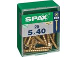 Set Di 25 Viti In Acciaio A Testa Svasata Pozidriv Spax, Diam.5 Mm X L.40 Mm