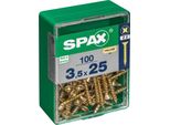 Set Di 100 Viti In Acciaio A Testa Svasata Pozidriv Spax, Diam.3,5 Mm X L.25 Mm
