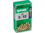 Set Di 30 Viti In Acciaio A Testa Svasata Pozidriv Spax, Diam.3 Mm X L.12 Mm