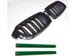 Griglia Del Radiatore Griglia Sportiva Griglia Nera Lucida + Montanti Griglia In Verde Per