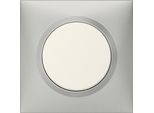Placca Singola Dooxie, Legrand, Alluminio