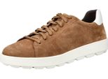 Geox Spherica Ecub-1 Scarpe Sportive Marrone Eu 43 Uomo Marrone Eu 43
