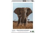Elefante Africano Ambasciatore 1000 Pezzi (Donal Boyd)