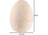 Set Di Scavo Di Uova Di Dinosauro Per Bambini Con 12 Figure Di Dinosauri Giocattolo Archeologico 24982