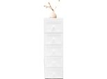 Armadio Contenitore, 5 Cassetti, Dimensioni: 25*34*82 Cm, Dimensioni Cassetti: 14*21*31 Cm, Materiale: Pp, Stile: Moderno