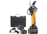 Potatore Elettrico, Design Ergonomico, Funzionamento Silenzioso, SW-758, Due Batterie