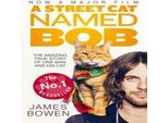 Un Gatto Di Strada Di Nome Bob