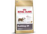 Royal Canin Bulldog Adulti - 3 Kg