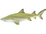 Safari Ltd Squalo Limone Giallo / Grigio Taglia Unica