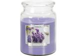 Bispol Candela Profumata In Vetro Lavanda, 500G