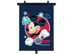 Tenda A Rullo 36X45 Cm, Mickey