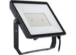 Philips - Proiettore Led Professionale Projectline 150W Luce Bianca Fredda 6500K