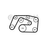 Continental Contitech 6PK2271WP1 Pompa Dell'acqua + Set Di Cinghie Trapezoidali Dentate Adatte Per MERCEDES-BENZ Vito Bus (W639) Viano (W639) Vito / Mixto Furgone (W639)