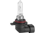 Lampadina Vision HIR2 / 9012 12V 55W Px22D